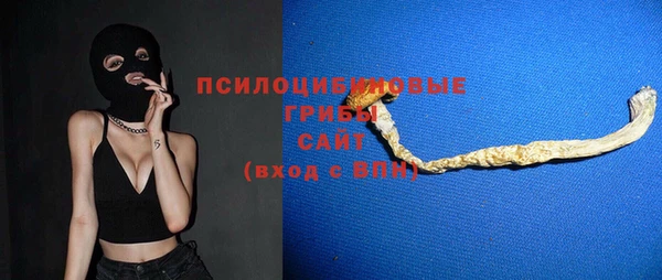 ALPHA PVP Каменск-Шахтинский