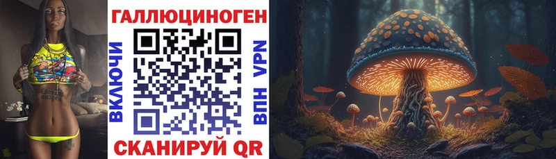Купить где  Задонск  Псилоцибиновые грибы Magic Shrooms 